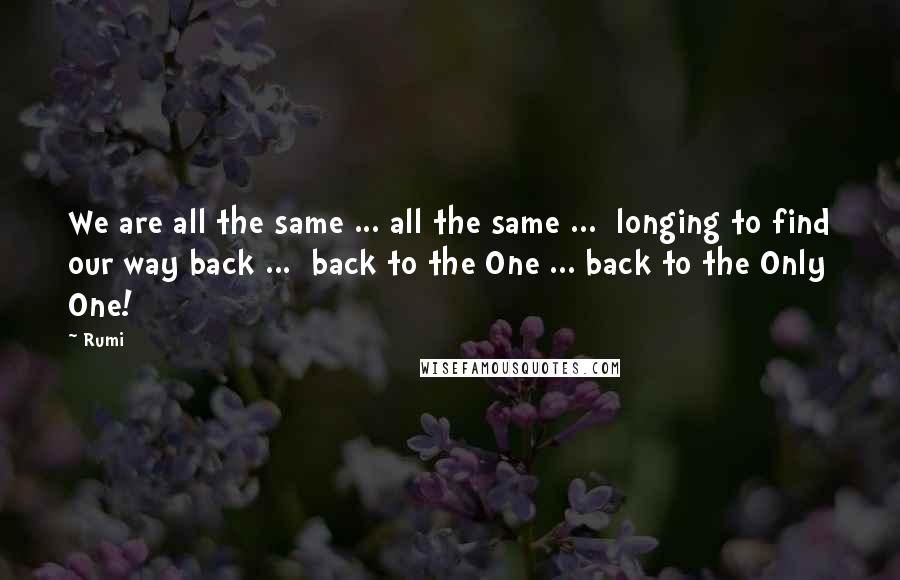 Rumi Quotes: We are all the same ... all the same ...  longing to find our way back ...  back to the One ... back to the Only One!