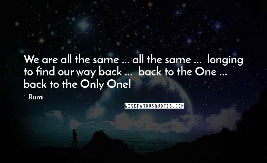 Rumi Quotes: We are all the same ... all the same ...  longing to find our way back ...  back to the One ... back to the Only One!