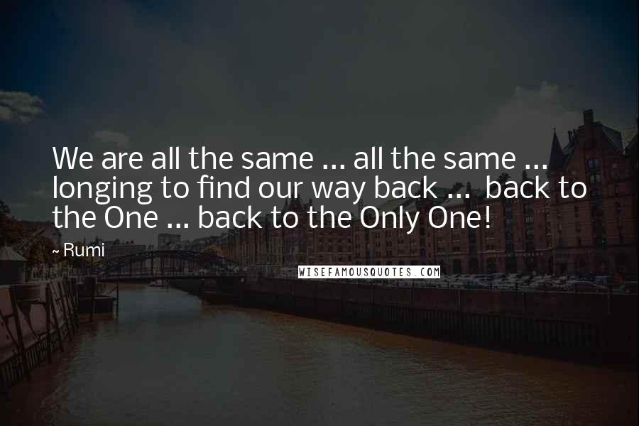 Rumi Quotes: We are all the same ... all the same ...  longing to find our way back ...  back to the One ... back to the Only One!