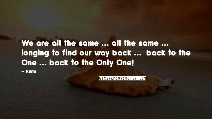 Rumi Quotes: We are all the same ... all the same ...  longing to find our way back ...  back to the One ... back to the Only One!