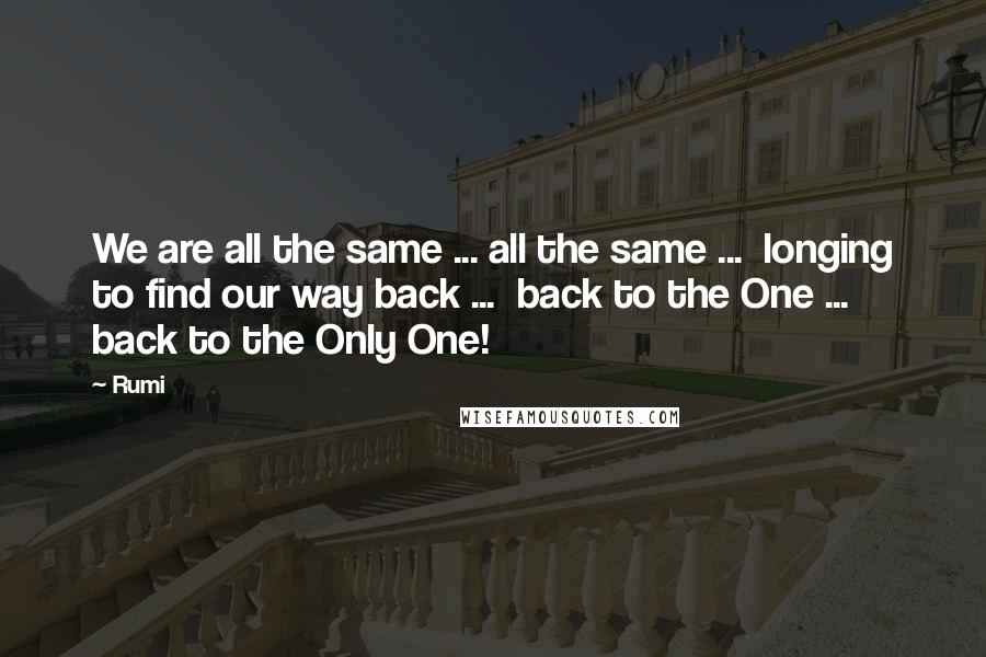 Rumi Quotes: We are all the same ... all the same ...  longing to find our way back ...  back to the One ... back to the Only One!