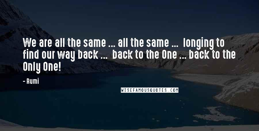 Rumi Quotes: We are all the same ... all the same ...  longing to find our way back ...  back to the One ... back to the Only One!