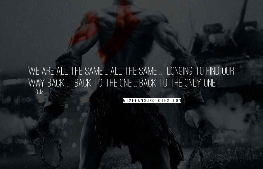 Rumi Quotes: We are all the same ... all the same ...  longing to find our way back ...  back to the One ... back to the Only One!