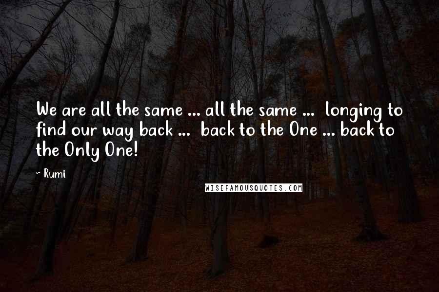 Rumi Quotes: We are all the same ... all the same ... longing to find our way back ... back to the One ... back to the Only One!