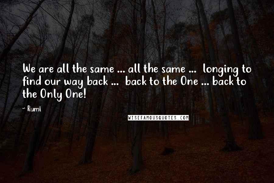 Rumi Quotes: We are all the same ... all the same ...  longing to find our way back ...  back to the One ... back to the Only One!