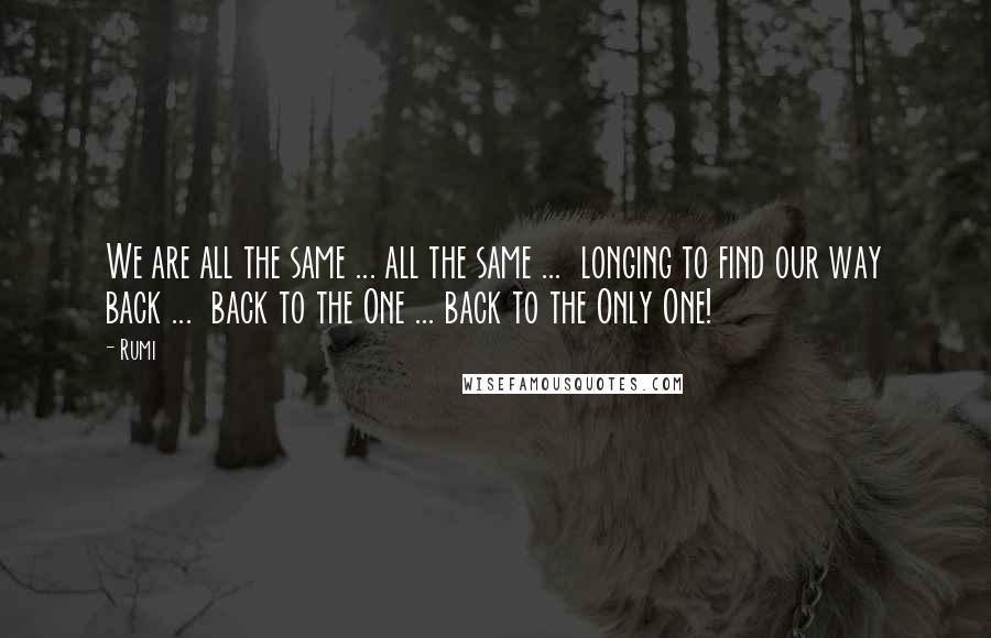 Rumi Quotes: We are all the same ... all the same ... longing to find our way back ... back to the One ... back to the Only One!