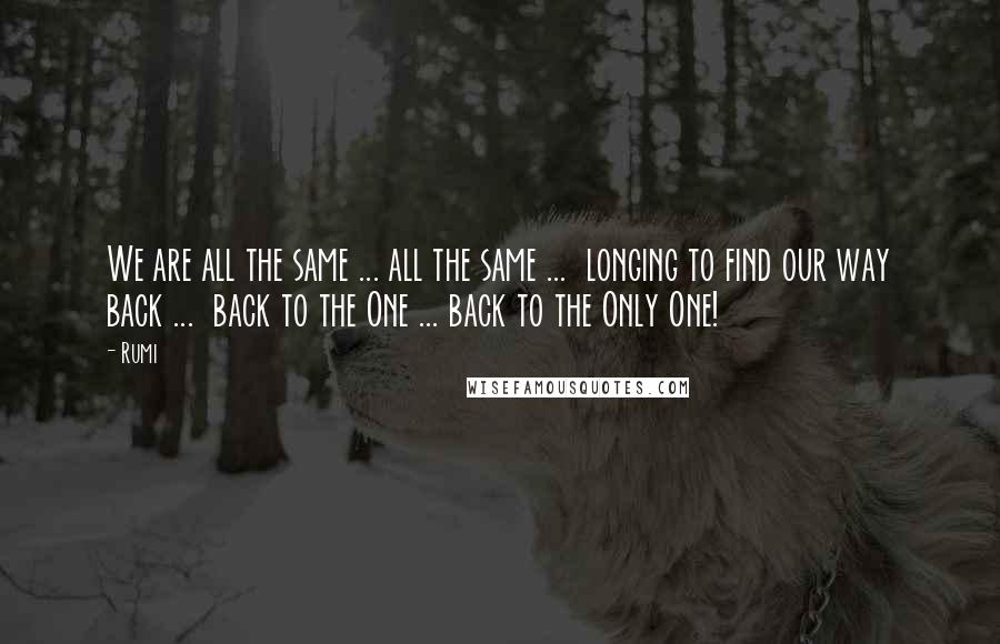 Rumi Quotes: We are all the same ... all the same ...  longing to find our way back ...  back to the One ... back to the Only One!