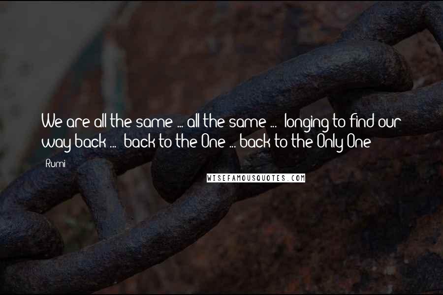 Rumi Quotes: We are all the same ... all the same ...  longing to find our way back ...  back to the One ... back to the Only One!