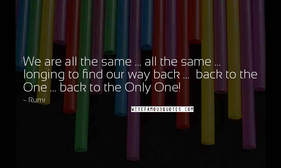 Rumi Quotes: We are all the same ... all the same ... longing to find our way back ... back to the One ... back to the Only One!