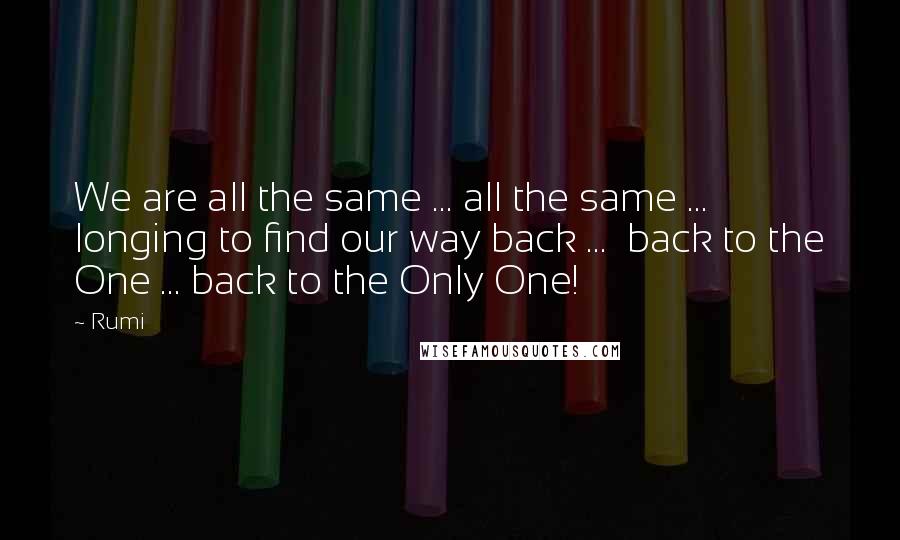 Rumi Quotes: We are all the same ... all the same ...  longing to find our way back ...  back to the One ... back to the Only One!