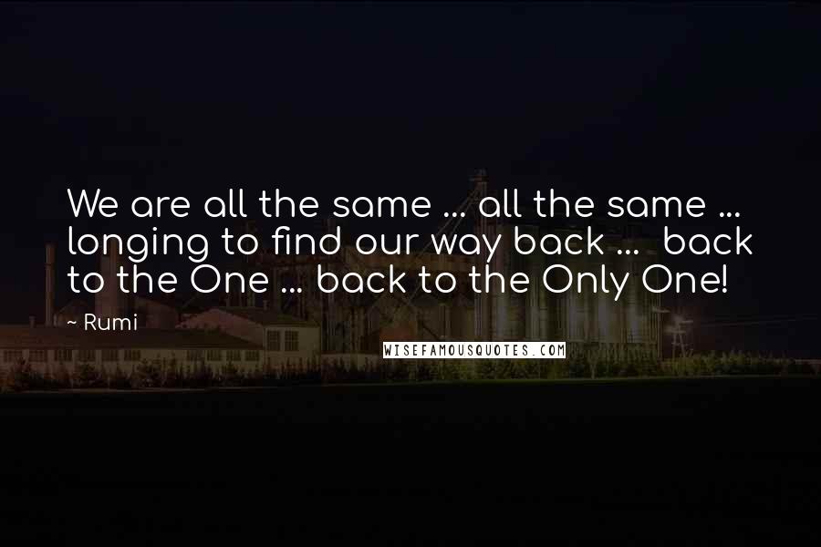 Rumi Quotes: We are all the same ... all the same ...  longing to find our way back ...  back to the One ... back to the Only One!