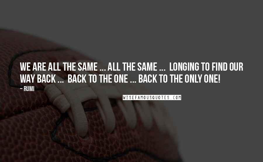 Rumi Quotes: We are all the same ... all the same ... longing to find our way back ... back to the One ... back to the Only One!