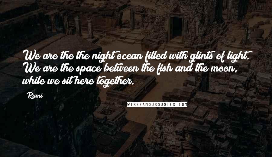 Rumi Quotes: We are the the night ocean filled with glints of light. We are the space between the fish and the moon, while we sit here together.