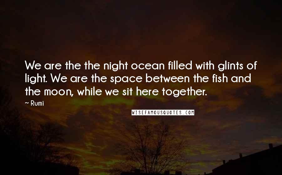Rumi Quotes: We are the the night ocean filled with glints of light. We are the space between the fish and the moon, while we sit here together.