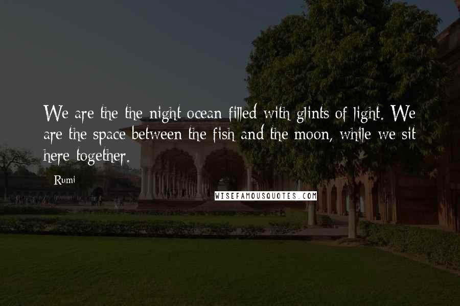 Rumi Quotes: We are the the night ocean filled with glints of light. We are the space between the fish and the moon, while we sit here together.