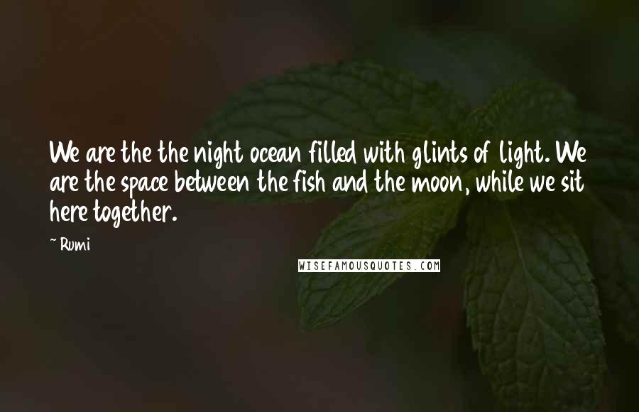 Rumi Quotes: We are the the night ocean filled with glints of light. We are the space between the fish and the moon, while we sit here together.
