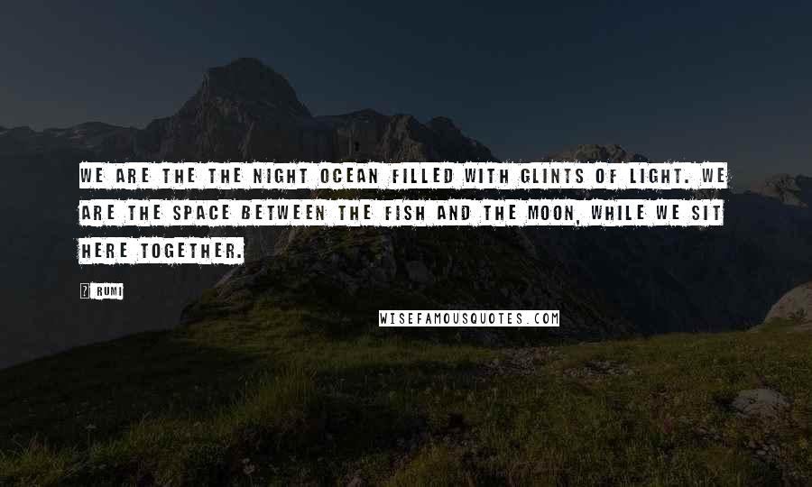 Rumi Quotes: We are the the night ocean filled with glints of light. We are the space between the fish and the moon, while we sit here together.