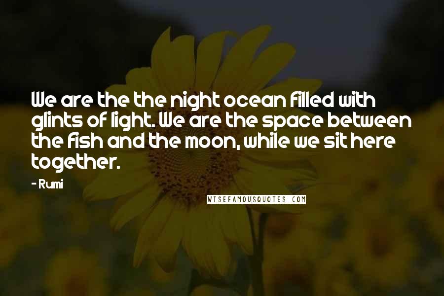 Rumi Quotes: We are the the night ocean filled with glints of light. We are the space between the fish and the moon, while we sit here together.
