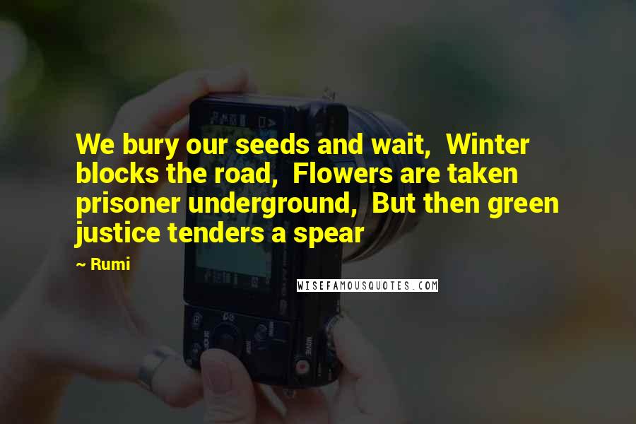 Rumi Quotes: We bury our seeds and wait, Winter blocks the road, Flowers are taken prisoner underground, But then green justice tenders a spear