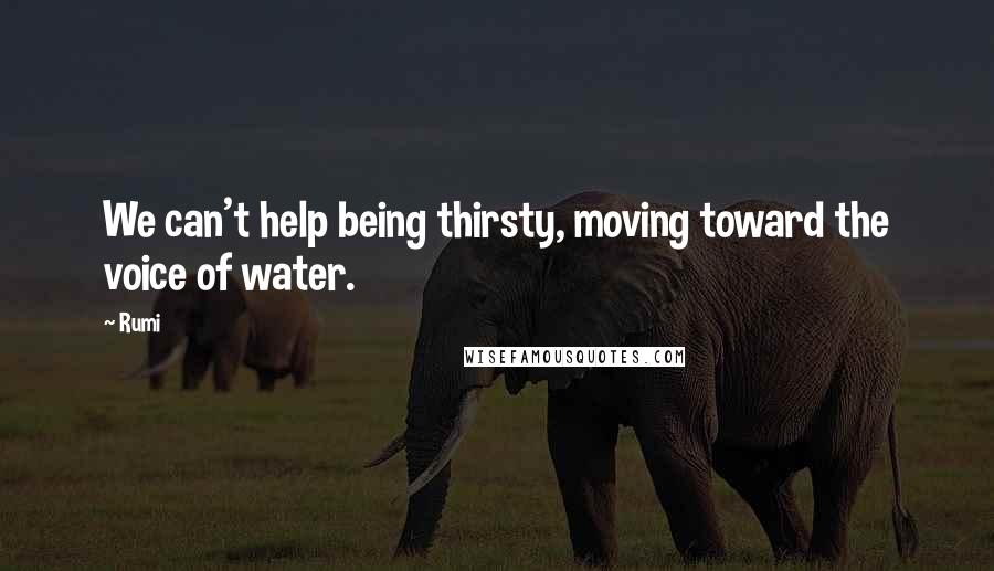 Rumi Quotes: We can't help being thirsty, moving toward the voice of water.