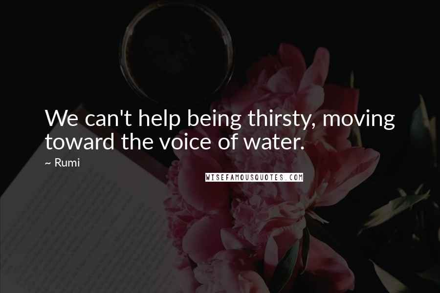 Rumi Quotes: We can't help being thirsty, moving toward the voice of water.