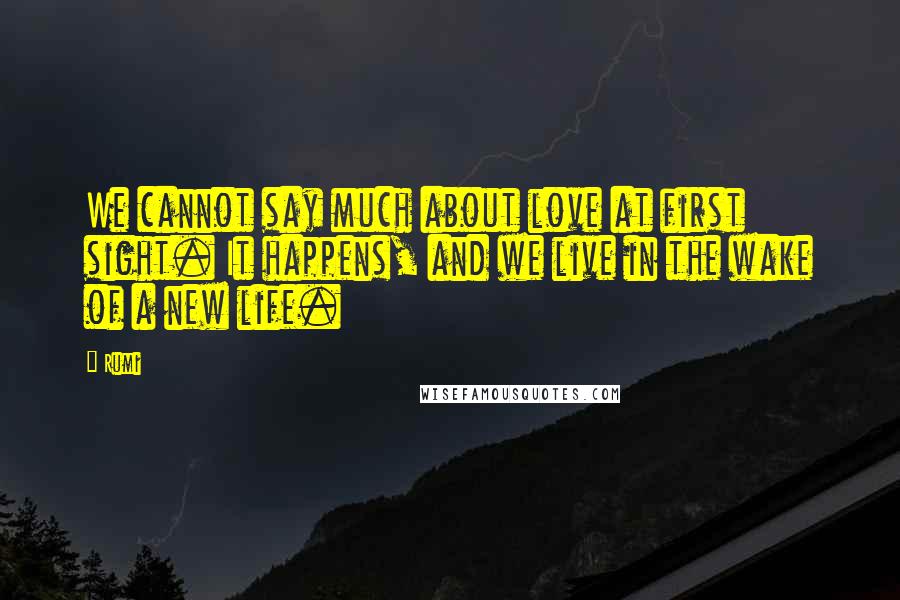 Rumi Quotes: We cannot say much about love at first sight. It happens, and we live in the wake of a new life.