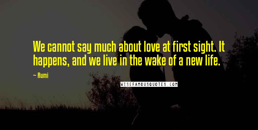 Rumi Quotes: We cannot say much about love at first sight. It happens, and we live in the wake of a new life.