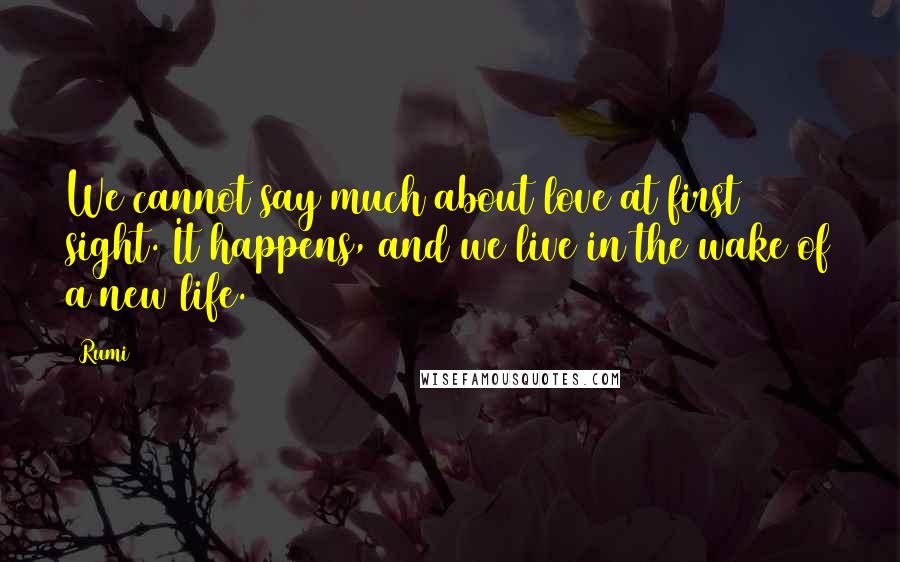 Rumi Quotes: We cannot say much about love at first sight. It happens, and we live in the wake of a new life.