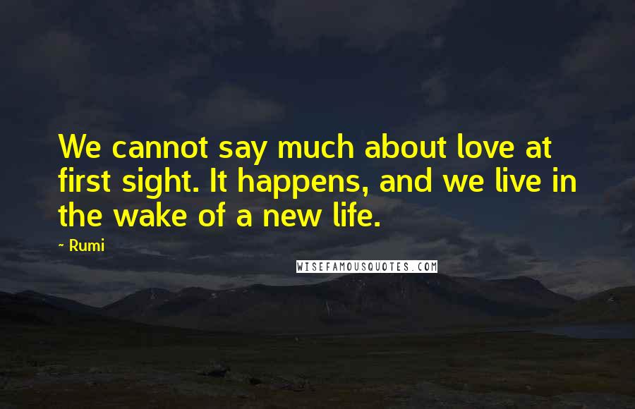 Rumi Quotes: We cannot say much about love at first sight. It happens, and we live in the wake of a new life.