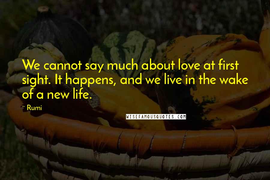 Rumi Quotes: We cannot say much about love at first sight. It happens, and we live in the wake of a new life.
