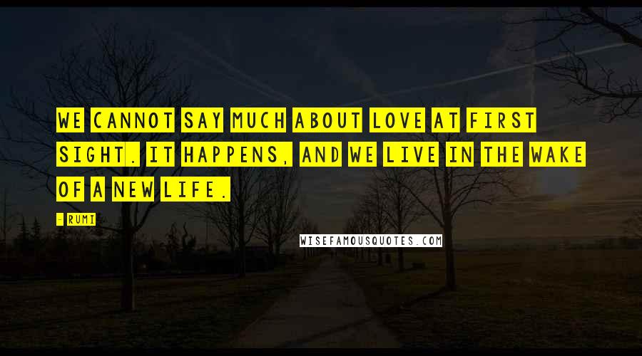 Rumi Quotes: We cannot say much about love at first sight. It happens, and we live in the wake of a new life.