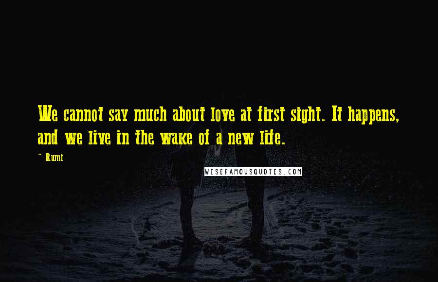 Rumi Quotes: We cannot say much about love at first sight. It happens, and we live in the wake of a new life.