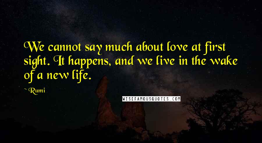 Rumi Quotes: We cannot say much about love at first sight. It happens, and we live in the wake of a new life.