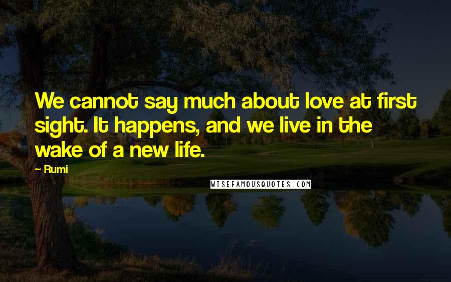 Rumi Quotes: We cannot say much about love at first sight. It happens, and we live in the wake of a new life.