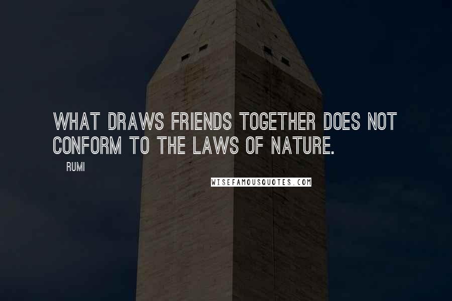 Rumi Quotes: What draws friends together does not conform to the laws of nature.