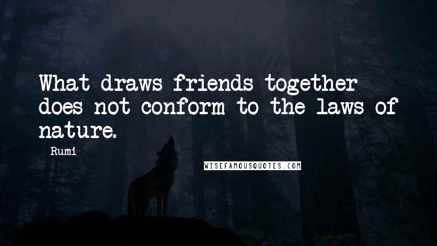 Rumi Quotes: What draws friends together does not conform to the laws of nature.