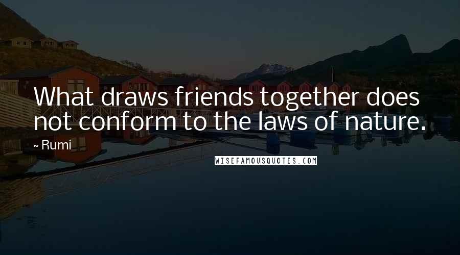 Rumi Quotes: What draws friends together does not conform to the laws of nature.