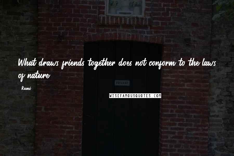 Rumi Quotes: What draws friends together does not conform to the laws of nature.