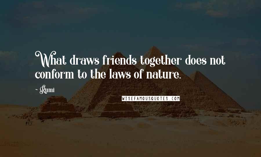 Rumi Quotes: What draws friends together does not conform to the laws of nature.