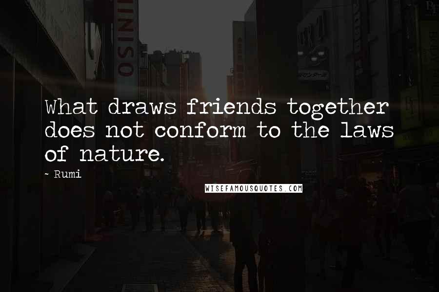 Rumi Quotes: What draws friends together does not conform to the laws of nature.