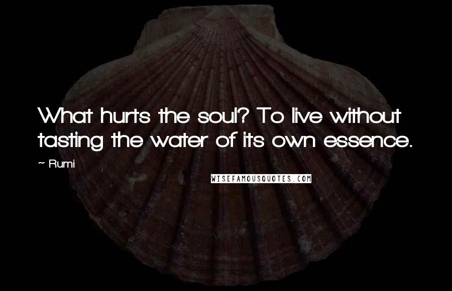 Rumi Quotes: What hurts the soul? To live without tasting the water of its own essence.