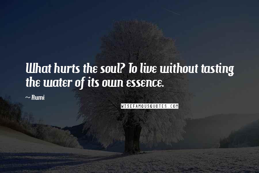 Rumi Quotes: What hurts the soul? To live without tasting the water of its own essence.