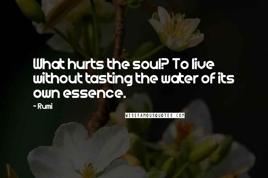 Rumi Quotes: What hurts the soul? To live without tasting the water of its own essence.