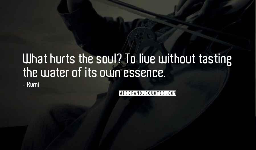 Rumi Quotes: What hurts the soul? To live without tasting the water of its own essence.