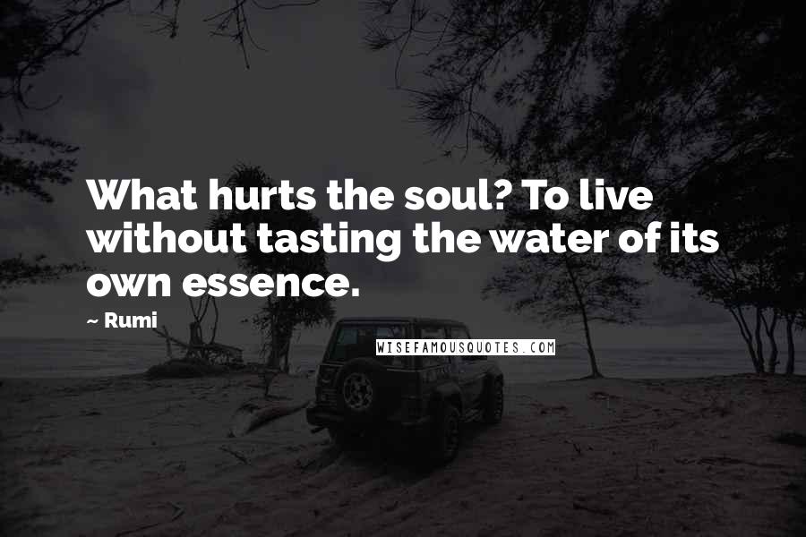 Rumi Quotes: What hurts the soul? To live without tasting the water of its own essence.