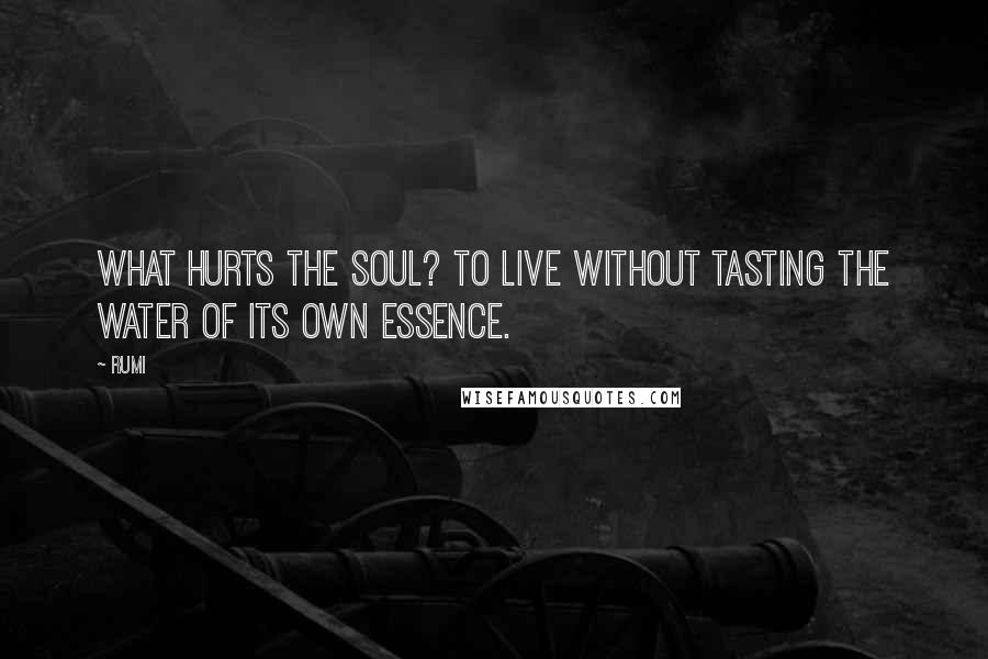 Rumi Quotes: What hurts the soul? To live without tasting the water of its own essence.