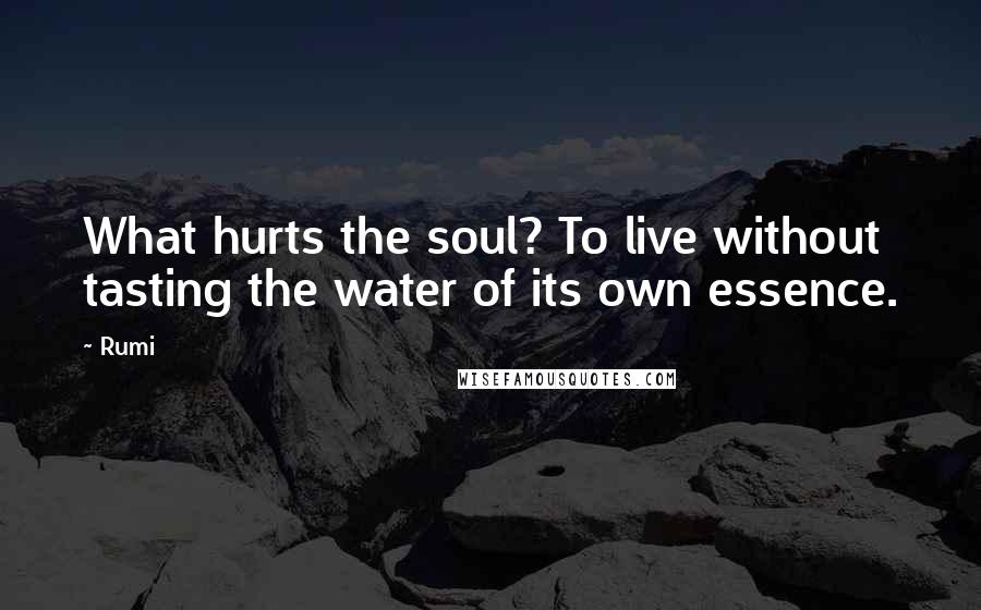 Rumi Quotes: What hurts the soul? To live without tasting the water of its own essence.