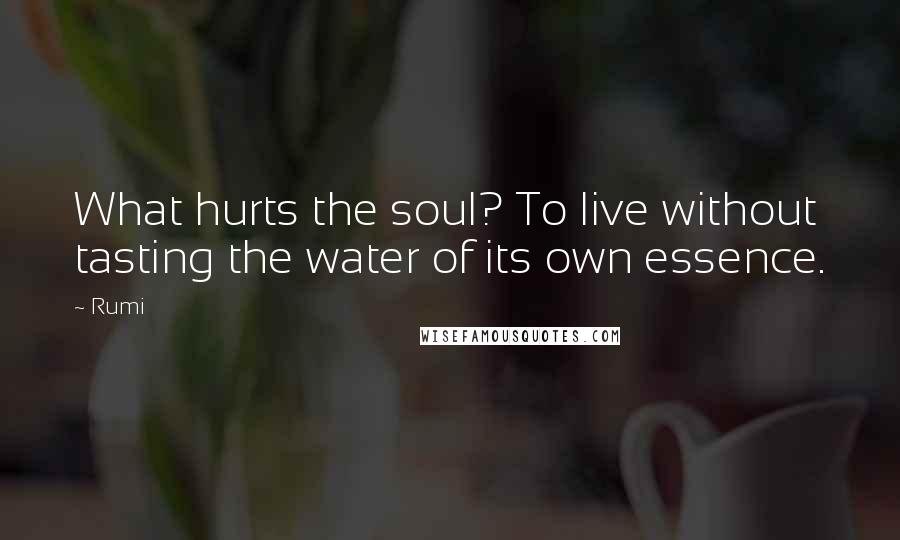 Rumi Quotes: What hurts the soul? To live without tasting the water of its own essence.