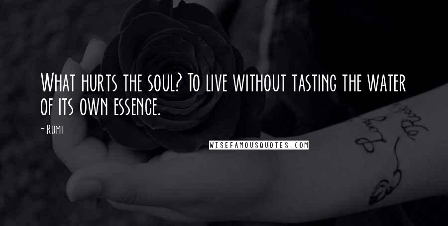 Rumi Quotes: What hurts the soul? To live without tasting the water of its own essence.