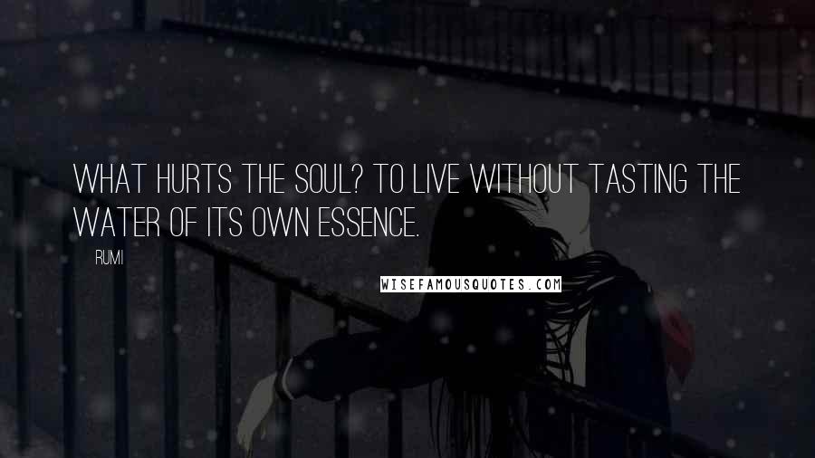 Rumi Quotes: What hurts the soul? To live without tasting the water of its own essence.